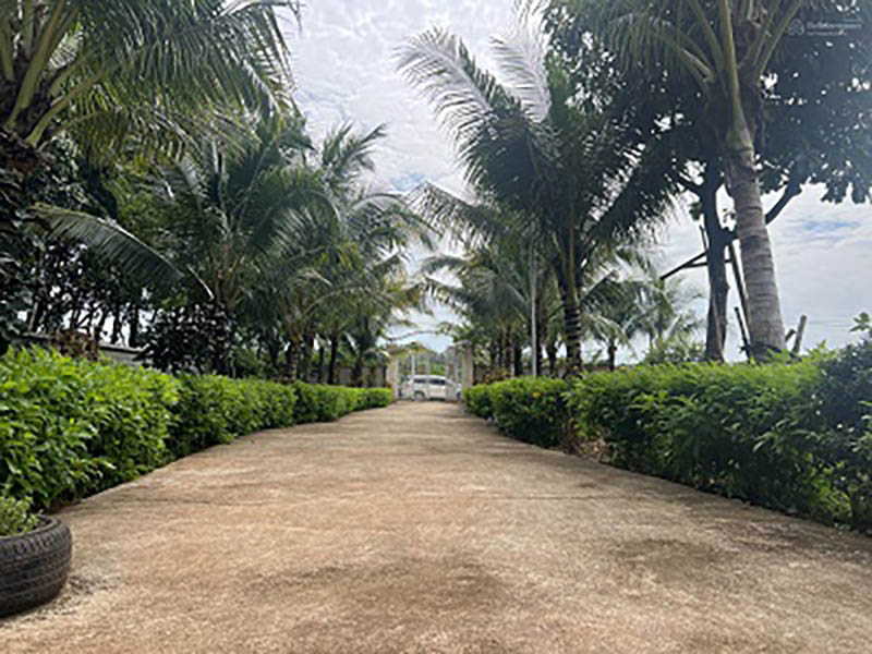 cần bán khu nhà vườn nghỉ dưỡng cực đẹp rộng 2200m2 mặt tiền đừơng nhựa ngay khu dân cư - Ảnh chính