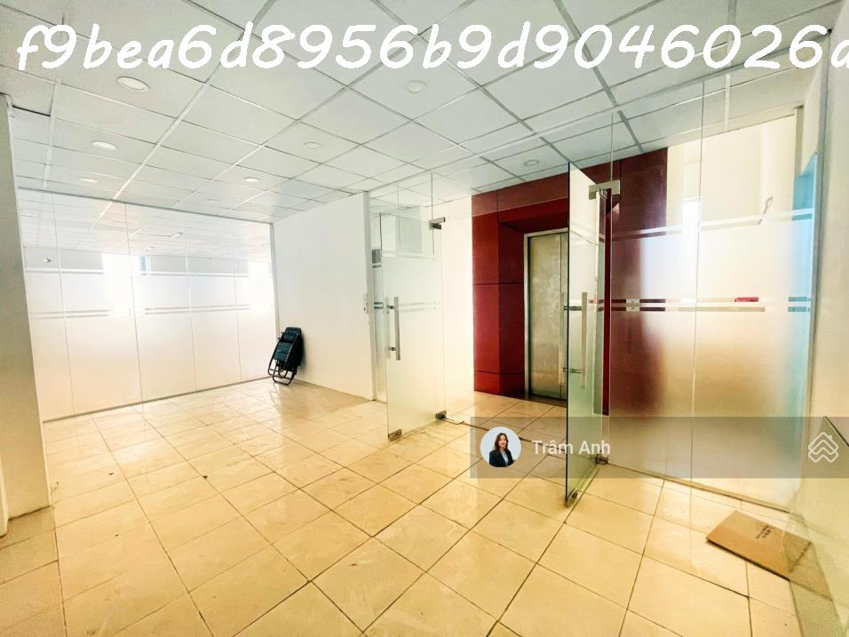 Bán nhà 230m² Lý Thường Kiệt, Tân Bình, 89 tỷ, sổ đỏ - Ảnh 4
