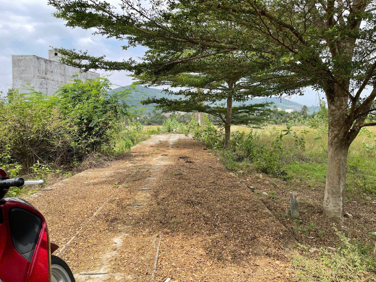 Chỉ còn có duy nhất 1 lô giá siêu rẻ đầu tư tiềm năng - Diên Hoà - Diên Khánh - 97m2 full thổ ngang - Ảnh 2