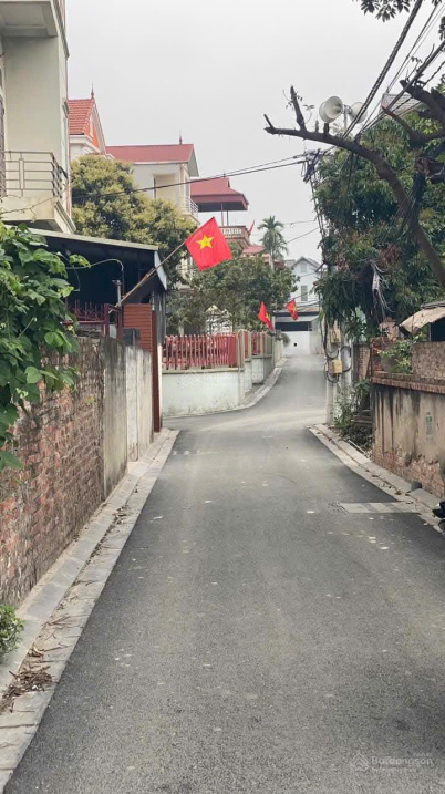 Bán đất Lương Nỗ Tiên Dương - 58.9m2 - Đường thông ô tô 7 chỗ - Ảnh 3