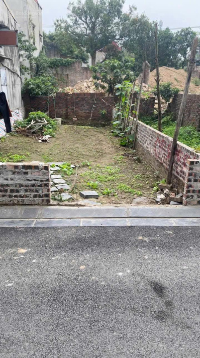 Bán đất Lương Nỗ Tiên Dương - 58.9m2 - Đường thông ô tô 7 chỗ - Ảnh chính