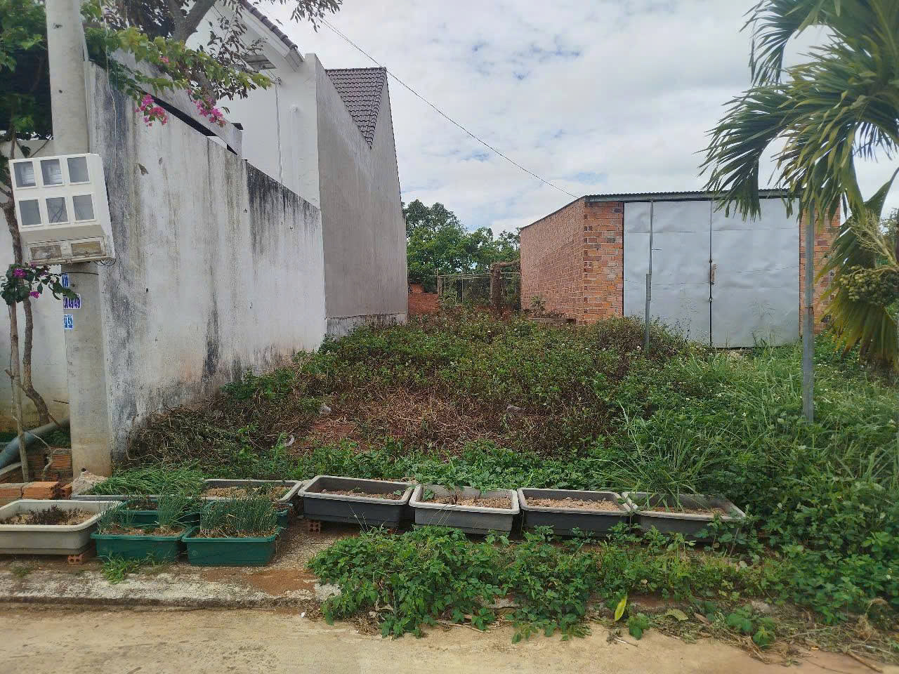 BÁN 115,7m2 Đất - XÃ HIỆP THẠNH - ĐỨC TRỌNG - LÂM ĐỒNG - Ảnh 2