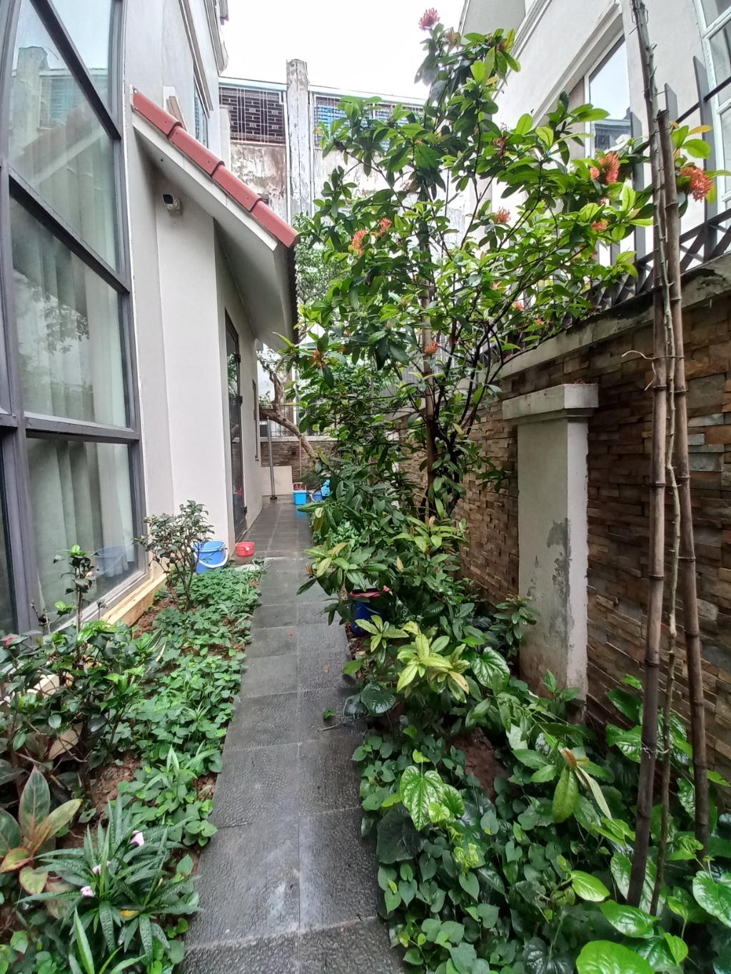 BÁN BIỆT THỰ LẠC LONG QUÂN - TÂY HỒ - 210M2 - 53 TỶ - SỔ ĐỎ - Ảnh 3