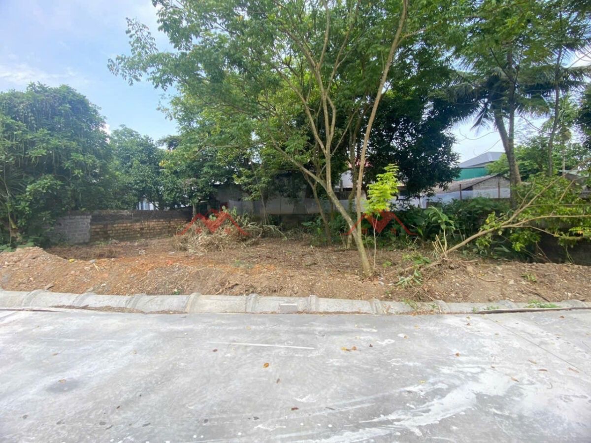 CHÍNH CHỦ BÁN LÔ ĐẤT 296M TẠI THỦY XUÂN TIÊN-CHƯƠNG MỸ-HÀ NỘI - Ảnh 3