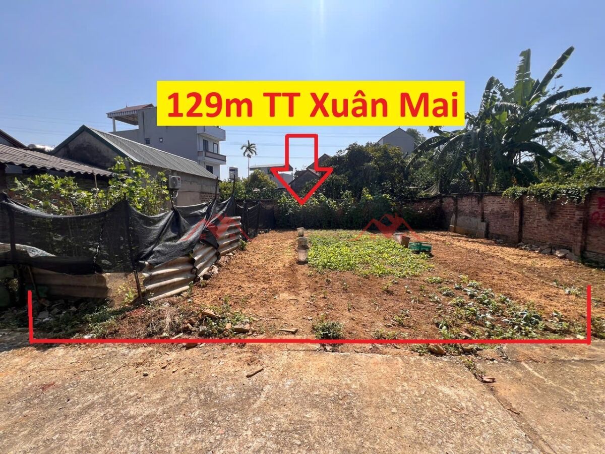 CHÍNH CHỦ BÁN LÔ ĐẤT 129M TẠI TT XUÂN MAI-CHƯƠNG MỸ-HÀ NỘI - Ảnh chính