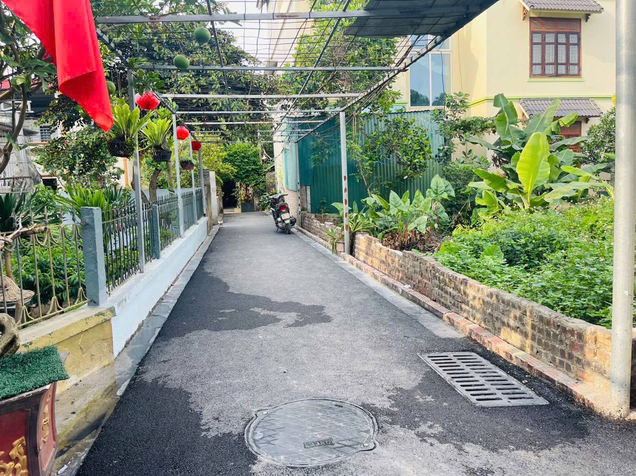 Chủ nhờ bán 40m2, mt4.5m, lô góc, 2.7 tỷ, Đông Anh - Ảnh 1