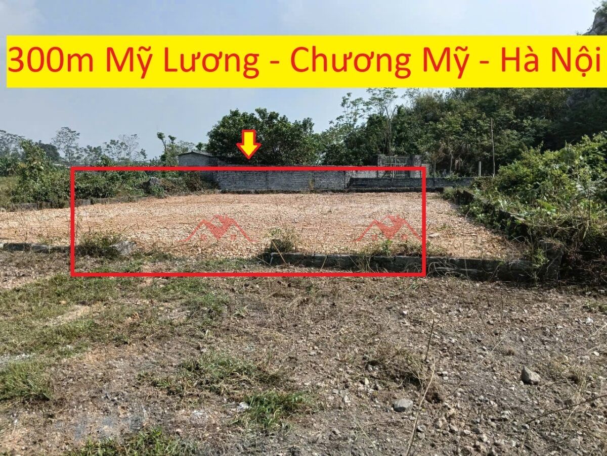 CHÍNH CHỦ BÁN LÔ ĐẤT 300M TẠI MỸ LƯƠNG-CHƯƠNG MỸ-HÀ NỘI - Ảnh chính