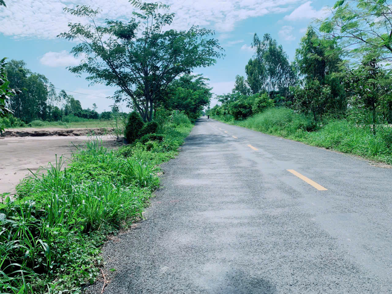 Bán Lô Đất Mặt Tiền Dường Nhựa xã Tân Nghĩa, Huyện Cao Lãnh, Đồng Tháp - Ảnh chính
