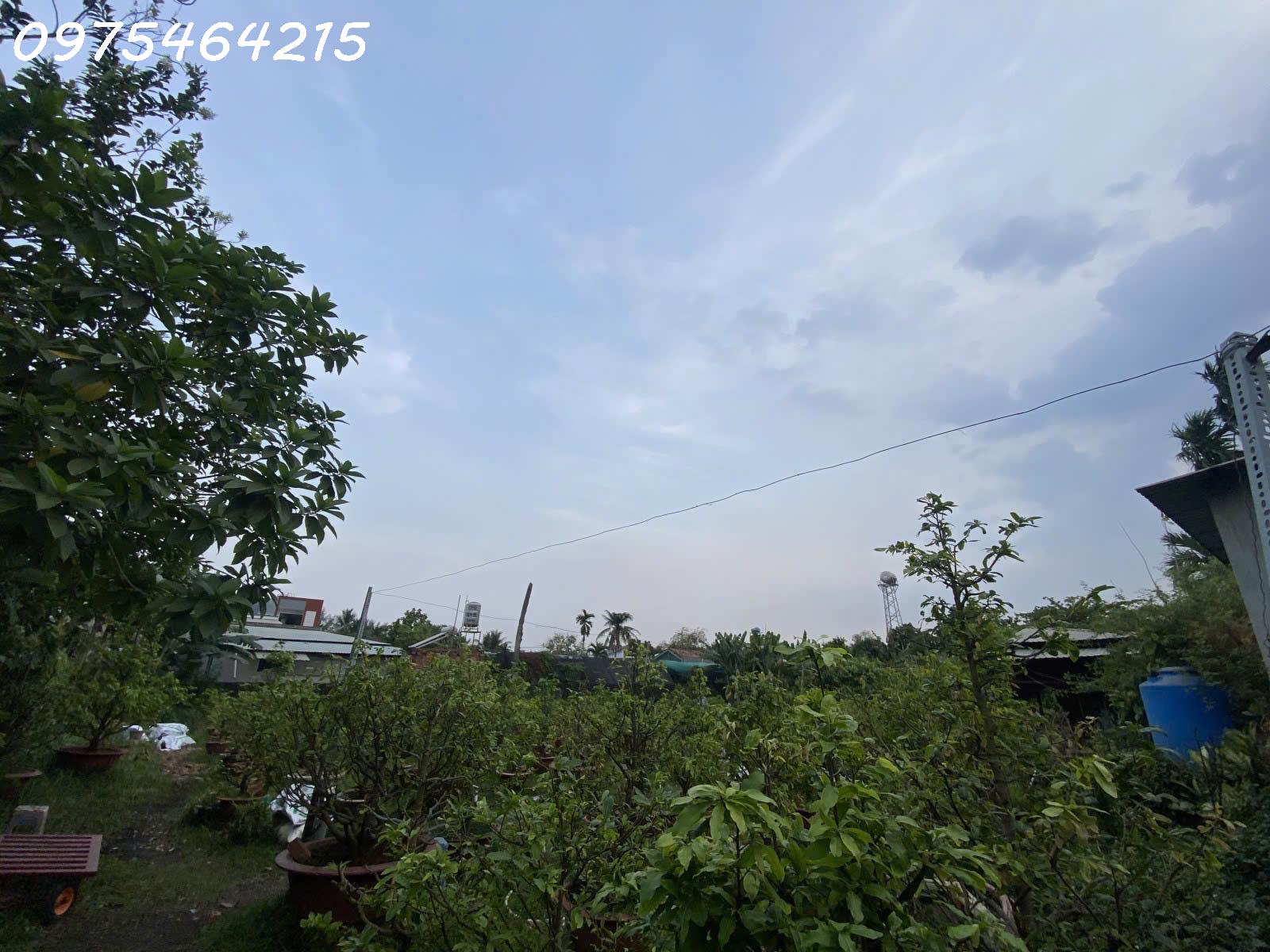 LÔ ĐẤT KHỦNG 8.400M² – NGANG 70M, DÀI 120M – PHƯỜNG TAM PHÚ, THỦ ĐỨC - Ảnh 2