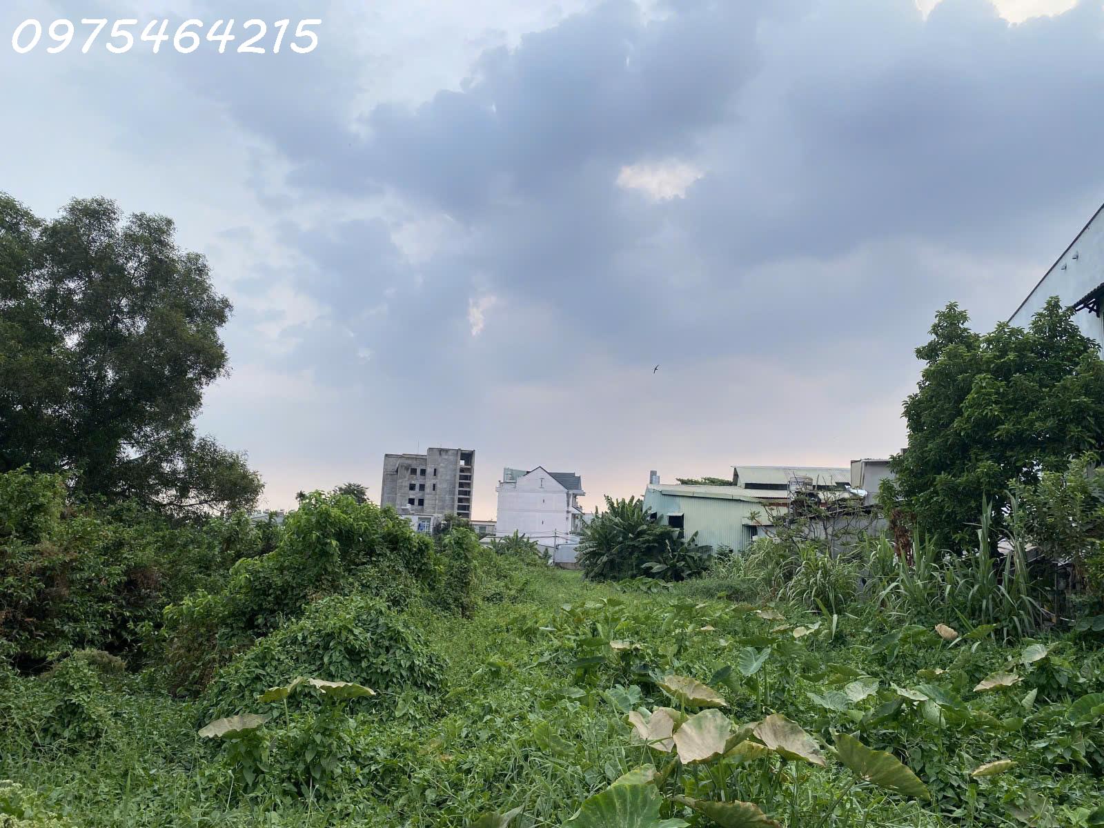 LÔ ĐẤT KHỦNG 8.400M² – NGANG 70M, DÀI 120M – PHƯỜNG TAM PHÚ, THỦ ĐỨC - Ảnh 3