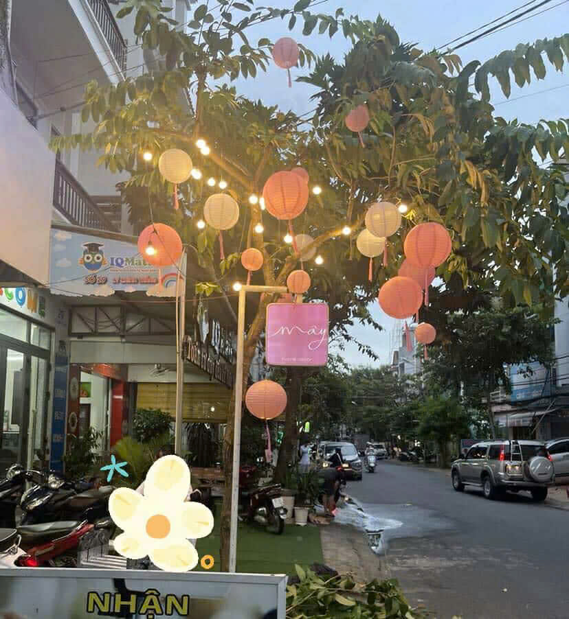 Sang shop hoa Mây Home Decor gần đầu đường Lý Chính Thắng Cần Thơ - Ảnh 3