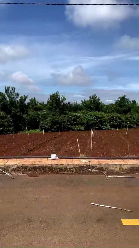 Bán nhanh 3 nền thổ cư hiệp thạnh liên nghĩa Đức Trọng - giá chưa chạm 1 tỷ - Ảnh chính