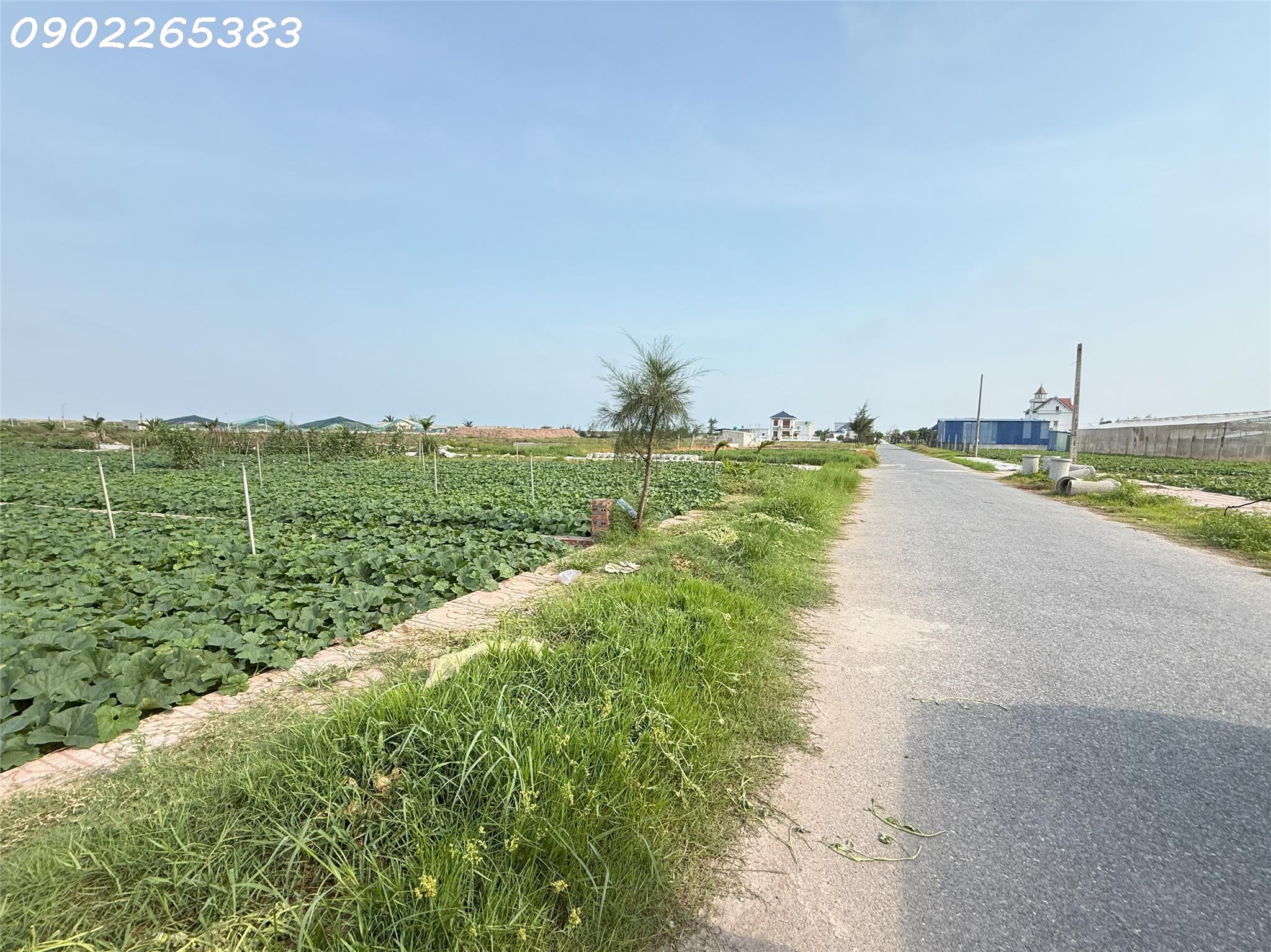 Bán gấp đất nền 91m2 tại Giao Phong Giao Thủy Nam Định giá chỉ 1,7 tỷ - Ảnh 1