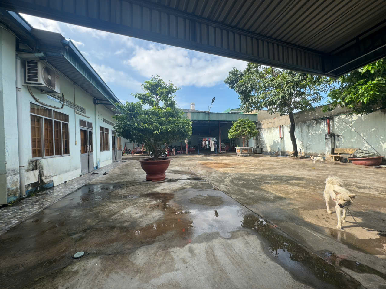 CHÍNH CHỦ BÁN GẤP 2 LÔ THỔ CƯ SIÊU ĐẸP -P.BÌNH ĐA - TP. BIÊN HÒA - T.ĐỒNG NAI DIỆN TÍCH KHỦNG 979M² - Ảnh 1