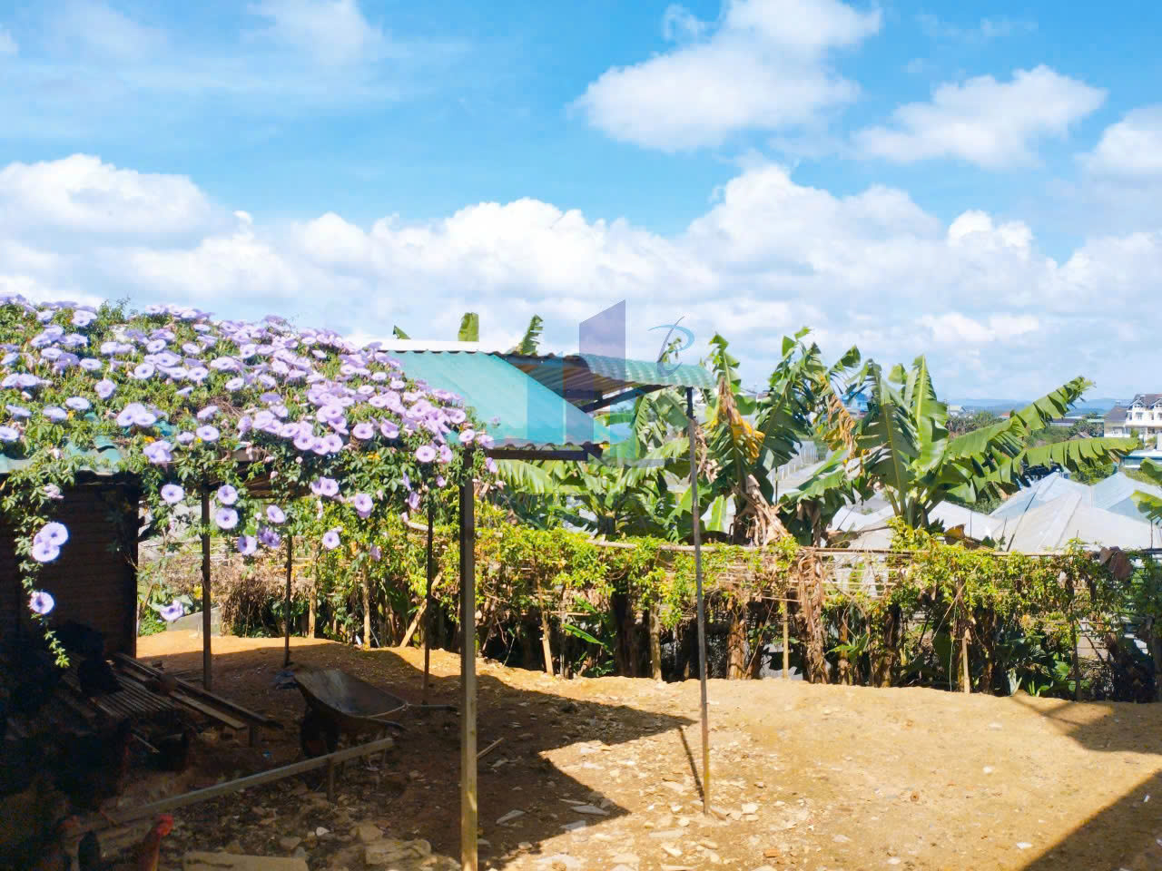 Bán Đất hẻm xe hơi đường Cao Thắng, Phường 7, Đà Lạt 288,54mv - Ảnh 2