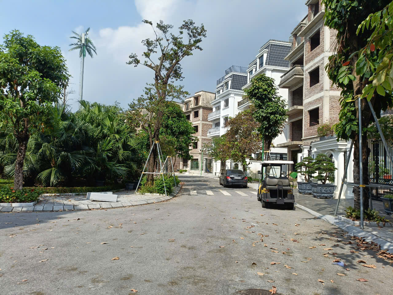 NV LIDECO 250m2- 5T, vị trí đẹp, không gian sáng tạo, 116 triệu/m - Ảnh 2