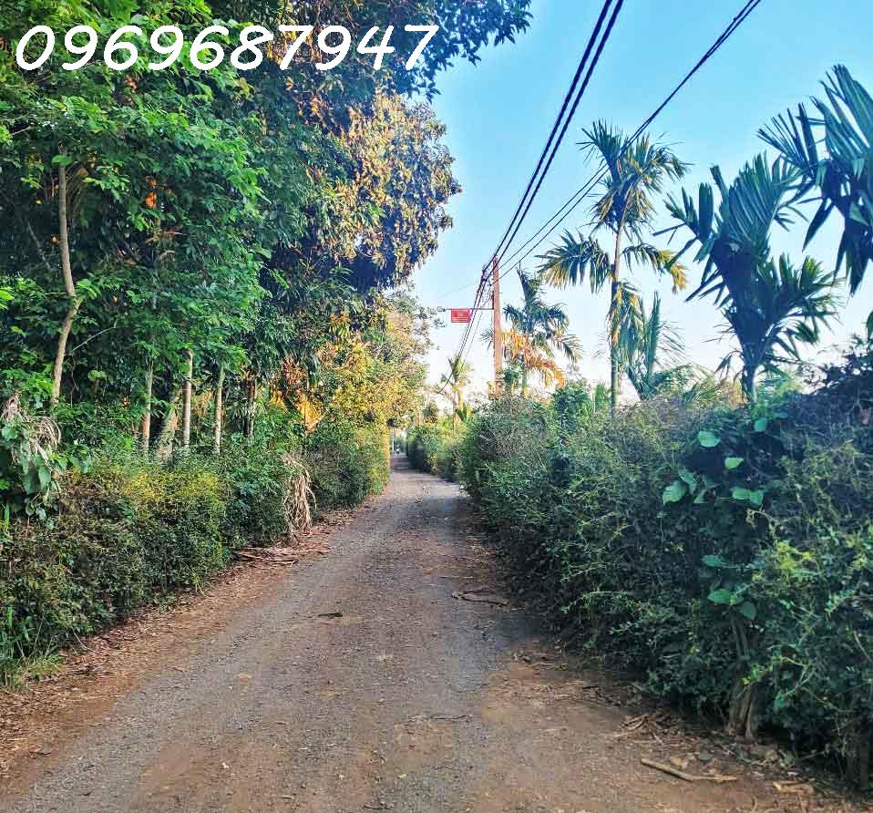 ĐẤT ĐỎ BAZAN - ĐĂK LĂK - 1.3HA GIÁ CHỈ 650 TRIỆU/SÀO! CUÔR ĐĂNG GIÁP HÒA THUẬN-BUÔN MATHUỘT - - Ảnh 2