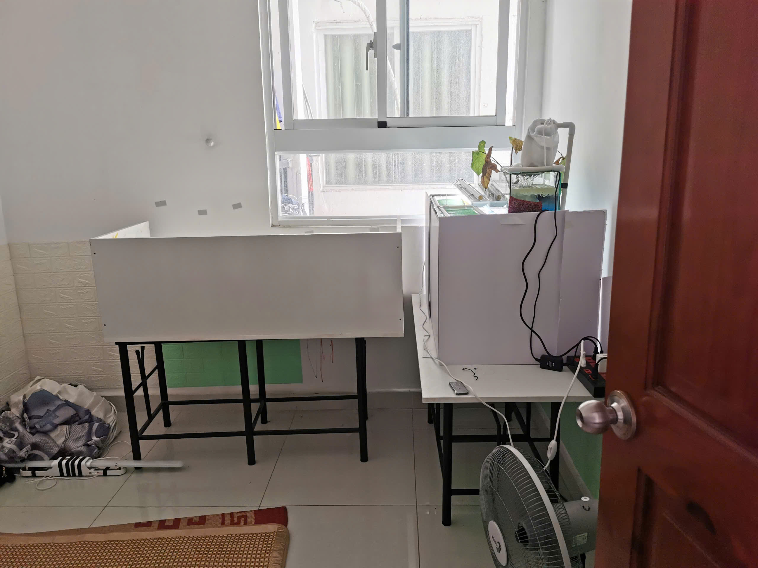 Cho Thuê Căn Hộ 64m2, 2 PN toà nhà (8X - Plus) đường Trường Chinh, Q12, khu dân cư đông - Ảnh 3