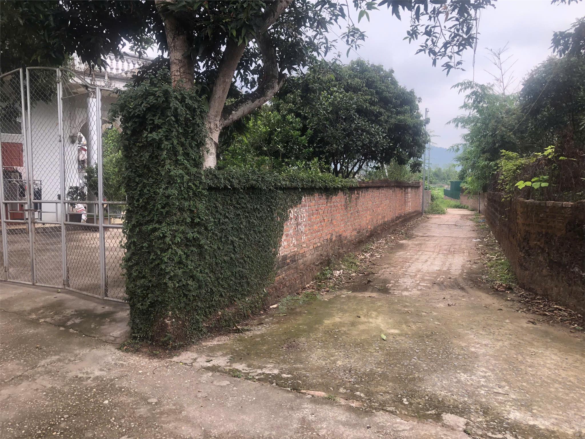 ĐẤT ĐẸP - GIÁ TỐT - Vị Trí Đắc Địa Tại Đường Phú Thịnh, Xã Minh Phú, Huyện Sóc Sơn, Thành phố Hà Nội - Ảnh chính