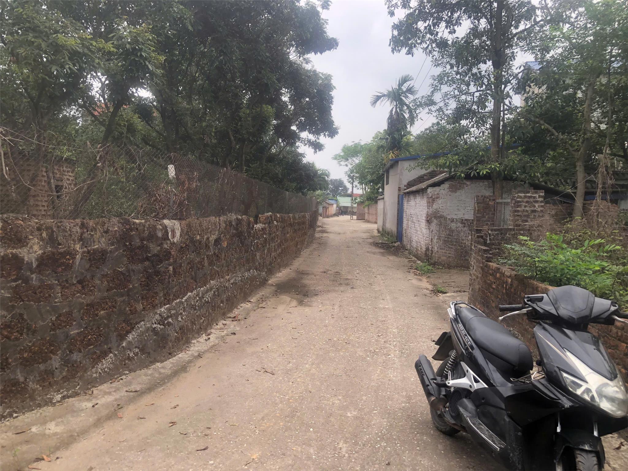ĐẤT ĐẸP - GIÁ TỐT - Vị Trí Đắc Địa Tại Đường Phú Thịnh, Xã Minh Phú, Huyện Sóc Sơn, Thành phố Hà Nội - Ảnh 1