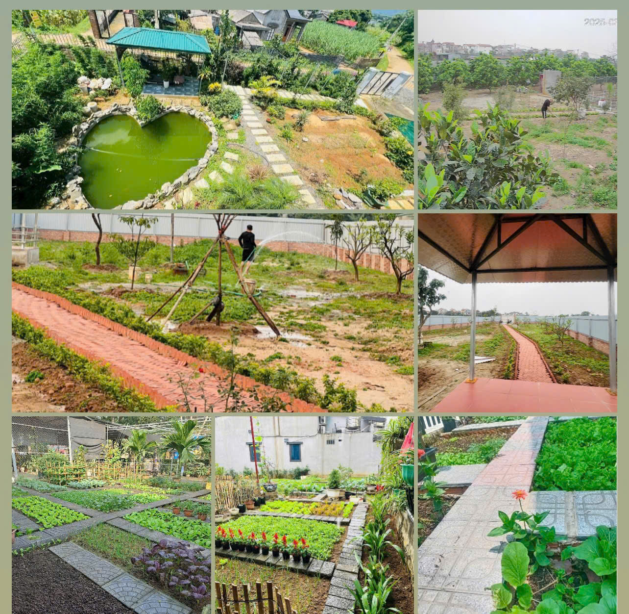 ĐẤT ĐẸP - GIÁ TỐT - Vị Trí Đắc Địa Tại Thôn Cổ Giang, Xã Lệ Chi, Huyện Gia Lâm, Thành phố Hà Nội - Ảnh 4