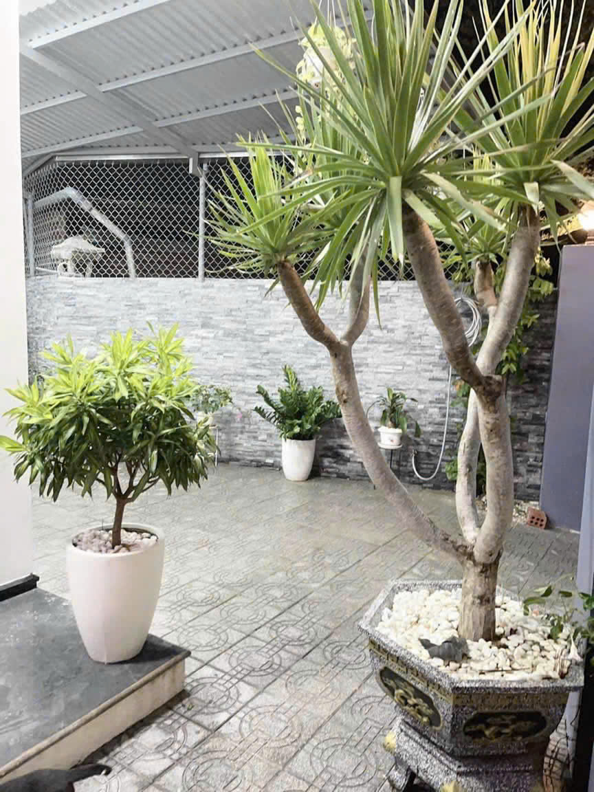 🔥 Bán nhà 2 tầng đẹp full nội thất kiệt ô tô Hoài Thanh. Cách đường chính 100m - Ảnh 2