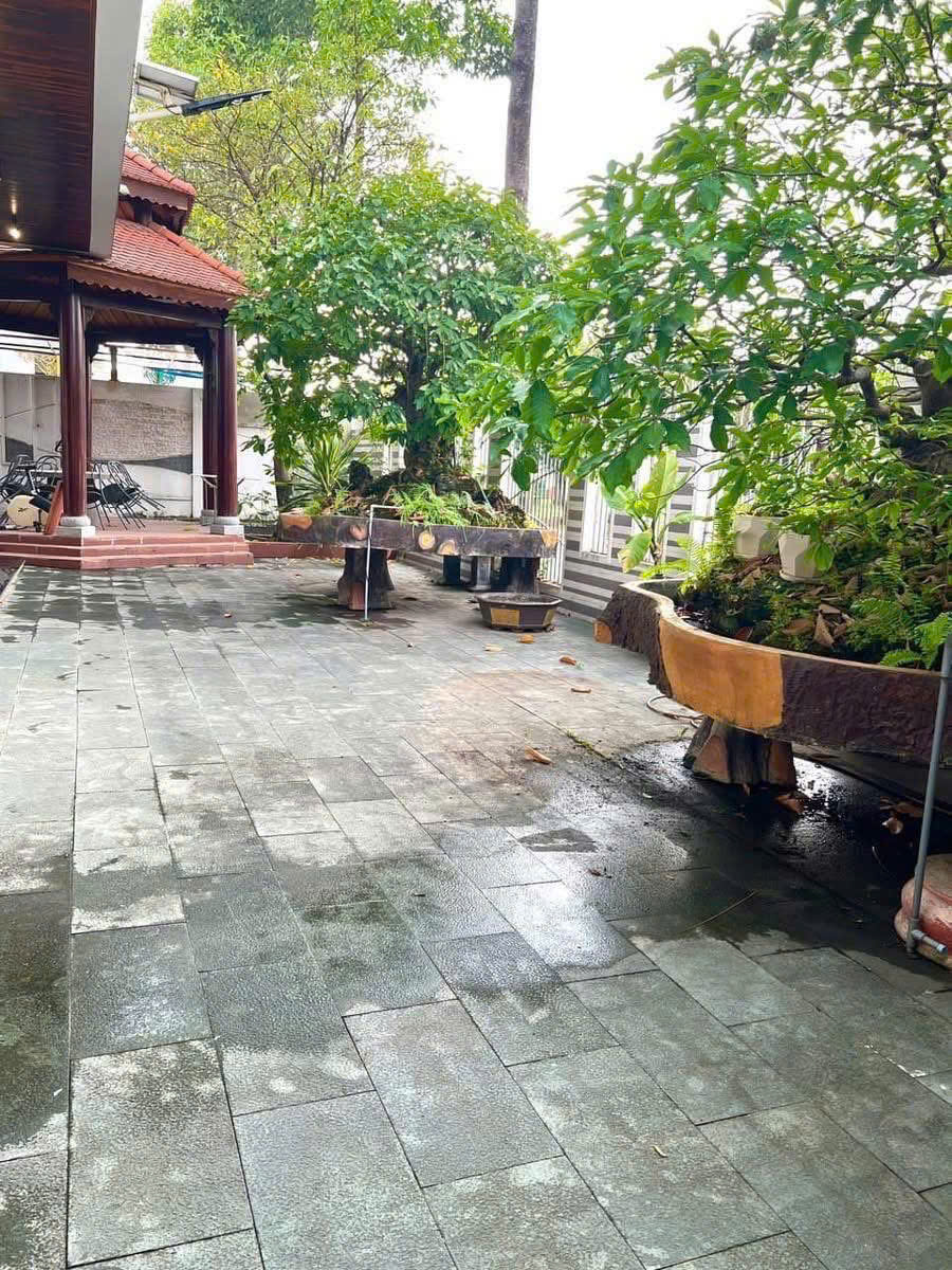 Cho Thuê Nhà Nguyên Căn Sunflower Phường Hòa Phú, TP Thủ Dầu Một, Bình Dương – Giá Tốt 45 - Ảnh 1