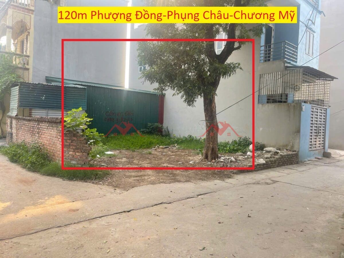 CHÍNH CHỦ BÁN LÔ ĐẤT 120M TẠI PHỤNG CHÂU-CHƯƠNG MỸ-HÀ NỘI - Ảnh chính