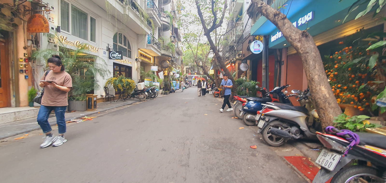 BÁN NHÀ MẶT PHỐ ẤU TRIỆU, HOÀN KIÉM. 50M2 MT 6M GIÁ 46 TỶ- TINH HOA PHỐ CỔ, DÒNG TIỀN "KHỦNG" ĐỈNH - Ảnh 1