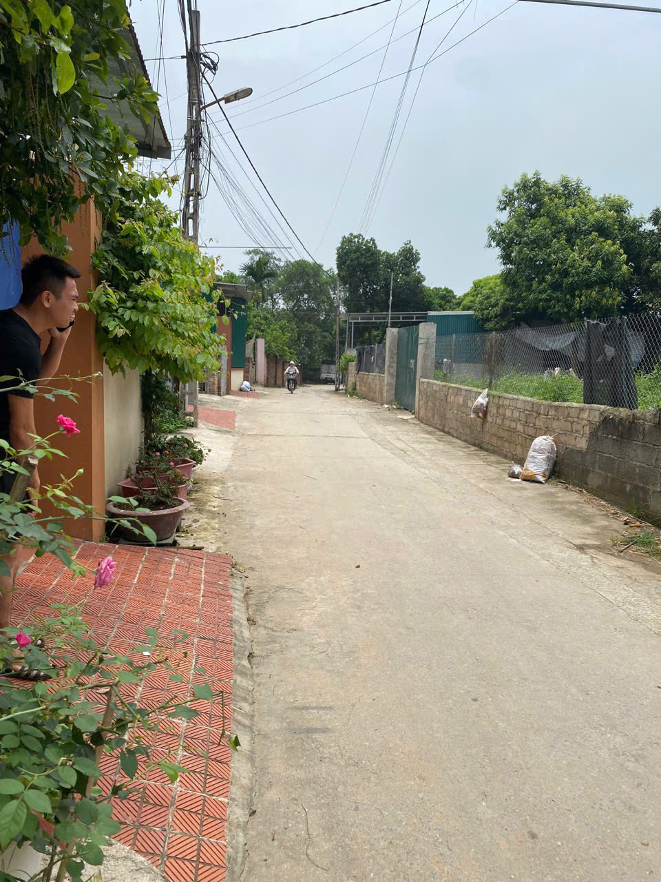CC cần bán lô đất 462m tại đông phương yên chương mỹ - Ảnh 3