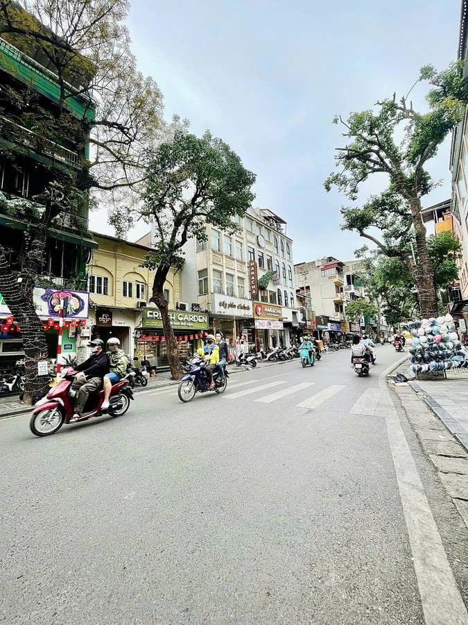 BÁN NHÀ MẶT PHỐ HÀNG CÓT. HOÀN KIẾM. 50M2 5 TẦNG MT 13M GIÁ 51 TỶ- VỊ TRÍ ĐẮC ĐỊA - LÔ GÓC 3 MẶT - Ảnh chính