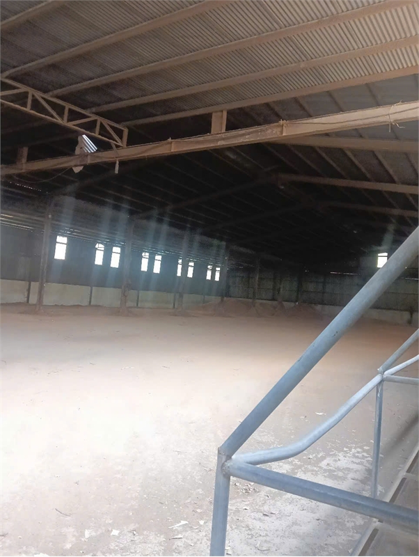 XT271 xưởng sản xuất vùng nguyên liệu gỗ lớn, trống xưởng cho thuê bàn giao liền - Ảnh 2