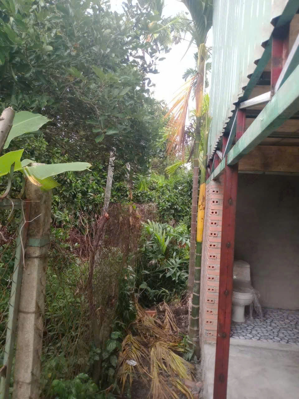 Cho Thuê Đất Sân Vườn Tân An, Thủ Dầu Một, Bình Dương – Diện Tích 2.000m², Giá 36 Triệu/Tháng. Liên - Ảnh chính