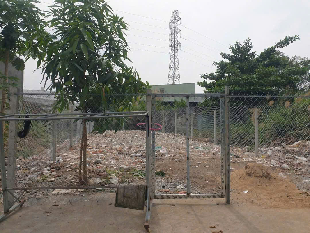 Ngộp Bank bán Miếng thơm 118 m2 Đào Sử Tích , xã Phước Lộc, huyện Nhà Bè , giá 5.5 tỷ - Ảnh chính