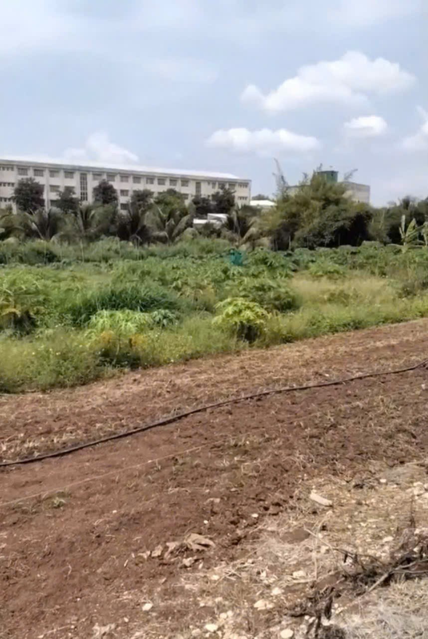 ĐẤT ĐẸP - GIÁ TỐT - CHÍNH CHỦ Cần Bán Lô Đất TạiXã Xuân Đồng, Cẩm Mỹ, Đồng Nai - Ảnh 1