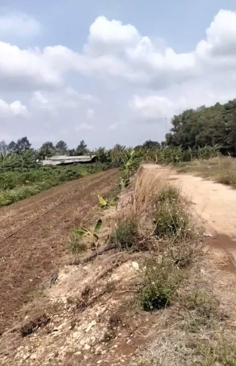 ĐẤT ĐẸP - GIÁ TỐT - CHÍNH CHỦ Cần Bán Lô Đất TạiXã Xuân Đồng, Cẩm Mỹ, Đồng Nai - Ảnh 2