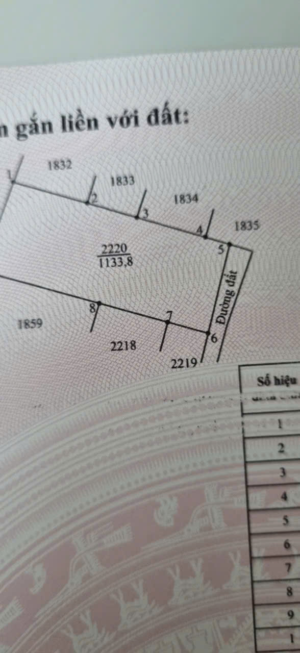 BÁN ĐẤT TẠI ẤP 6, XÃ MỸ QUÝ ĐÔNG, HUYỆN ĐỨC HUỆ, TỈNH LONG AN. - Ảnh 2