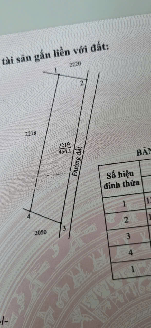 BÁN ĐẤT TẠI ẤP 6, XÃ MỸ QUÝ ĐÔNG, HUYỆN ĐỨC HUỆ, TỈNH LONG AN. - Ảnh chính