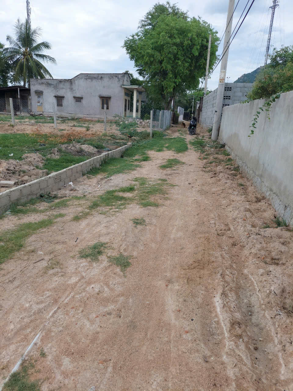3,4 SÀO ( có 2 sào thổ cư) – Ngã 3 Cà Đú - QL1A.- NINH HẢI – NINH THUẬN 💢 Giá: 1tỷ9/sào (có thương - Ảnh 3