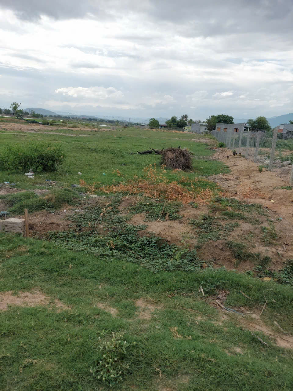3,4 SÀO ( có 2 sào thổ cư) – Ngã 3 Cà Đú - QL1A.- NINH HẢI – NINH THUẬN 💢 Giá: 1tỷ9/sào (có thương - Ảnh 4
