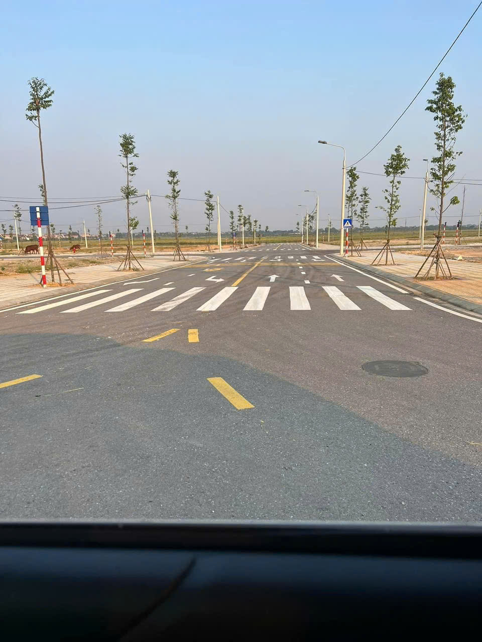 Chính chủ bán 2 mảnh đất ở Khu Đô Thị đồng nhà vác thị trấn Lâm Thao, Huyện Lâm Thao - Phú Thọ. - Ảnh 3