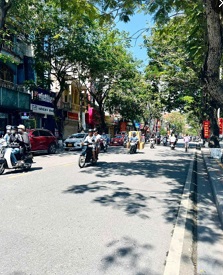 Chính Chủ Cần Bán Nhà Tại Đường 161-Hai Bà Trưng-Phường An Biên -Quận Lê Chân -Hải Phòng - Ảnh 4