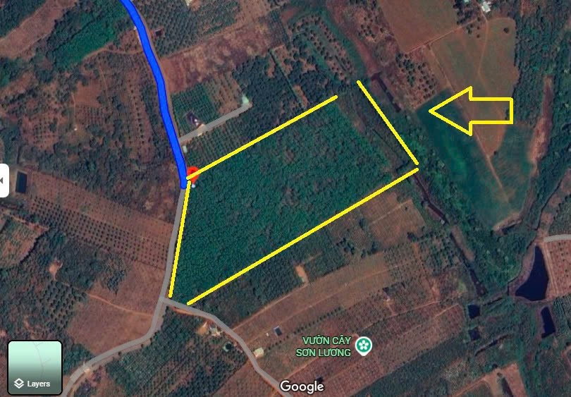 GIA ĐÌNH CHO CON VỀ SAIGON HỌC CẦN NHƯỢNG LẠI 55320 M2 (5,5HA) ĐẤT LÂM NGHIỆP LH:0931351494 - Ảnh 1