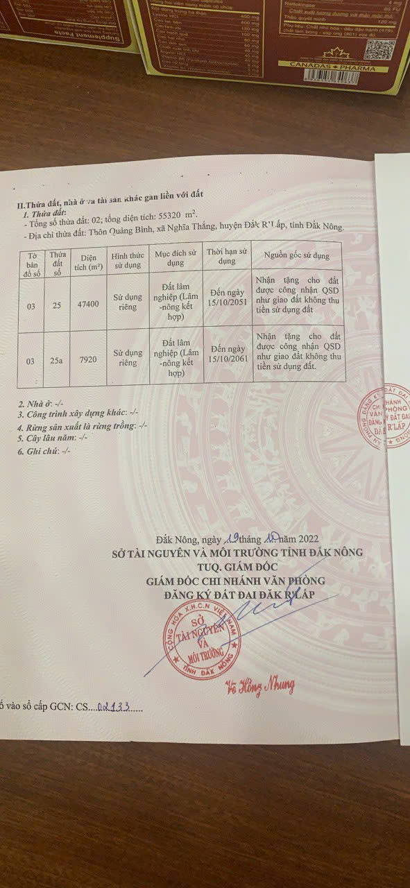 GIA ĐÌNH CHO CON VỀ SAIGON HỌC CẦN NHƯỢNG LẠI 55320 M2 (5,5HA) ĐẤT LÂM NGHIỆP LH:0931351494 - Ảnh 4