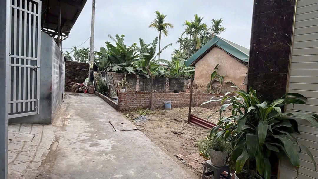 GIÁ ĐẸP-BÁN LÔ ĐẤT XÃ ĐỒNG THÁP, ĐAN PHƯỢNG-45M-GIÁ 2.68 TỶ - Ảnh 1