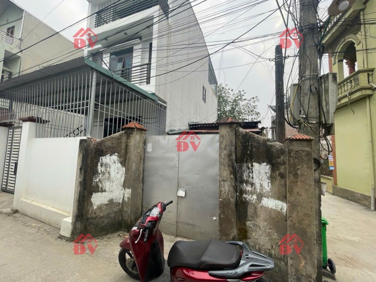 CHÍNH CHỦ BÁN LÔ ĐẤT 69M TẠI PHỤNG CHÂU-CHƯƠNG MỸ-HÀ NỘI - Ảnh 1