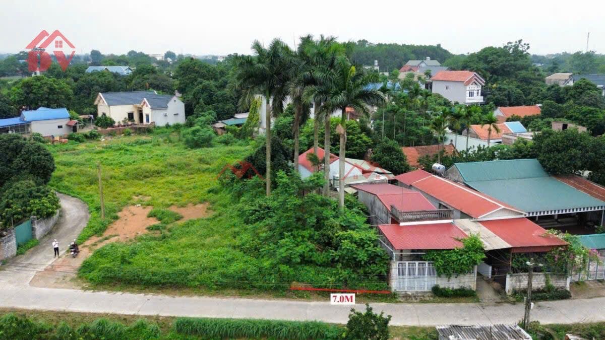 CHÍNH CHỦ BÁN LÔ ĐẤT 105,5M TẠI ĐÔNG SƠN-CHƯƠNG MỸ-HÀ NỘI - Ảnh 1