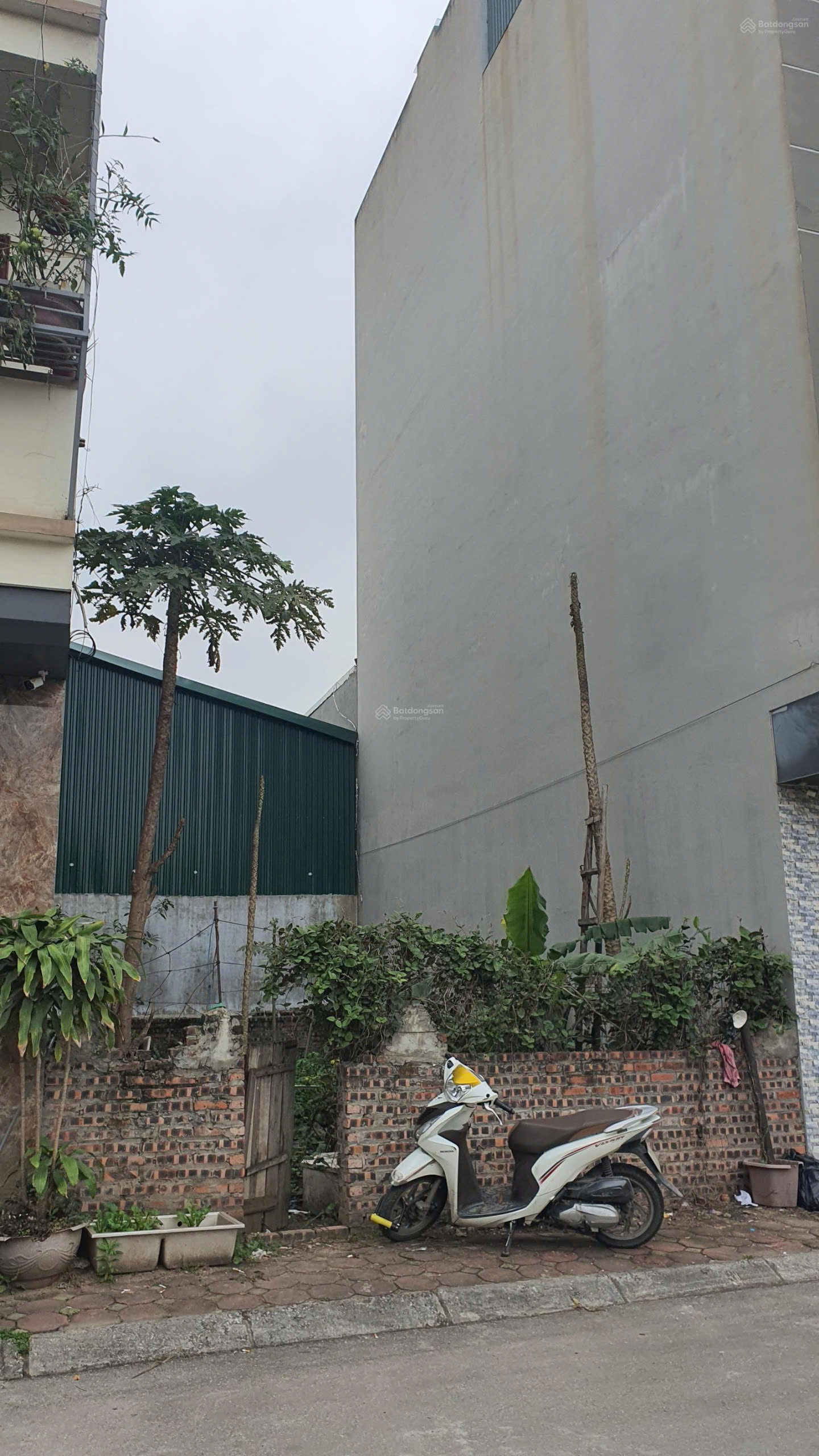 Chính chủ bán đất đấu giá A1 tổ 7 Cự Khối, 65.2m2 mặt tiền 5,5m đường 13m, vỉa hè - Ảnh 2