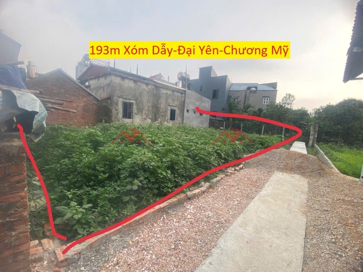 CHÍNH CHỦ BÁN LÔ ĐẤT 193M TẠI ĐẠI YÊN-CHƯƠNG MỸ-HÀ NỘI - Ảnh chính