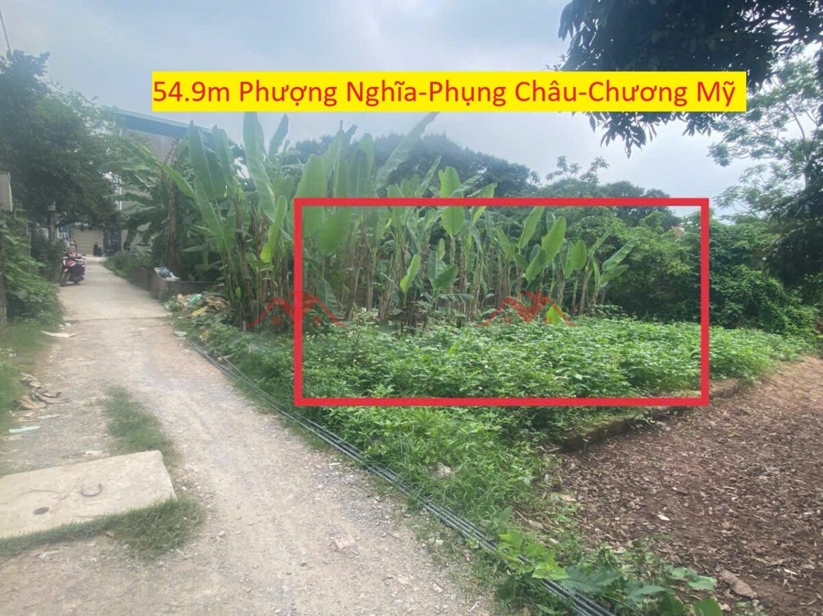 CHINHS CHỦ BÁN LÔ ĐẤT 54,9M TẠI PHỤNG CHÂU-CHƯƠNG MỸ-HÀ NỘI - Ảnh chính